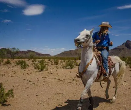 Верховая езда на белом жеребце