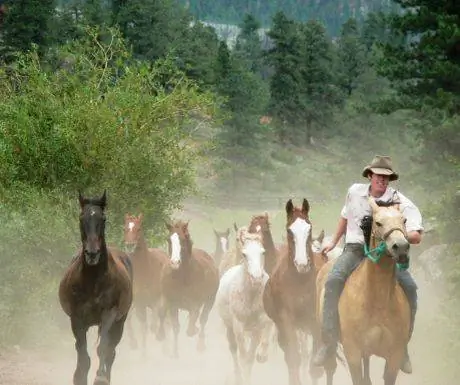 Я хочу провести отпуск на ранчо какое ранчо я хочу?