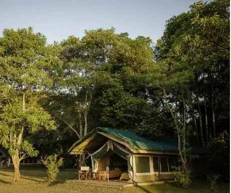 2. Главный лагерь губернатора