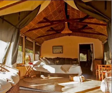 5 лучших семейных сафари-лоджей в Кении