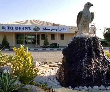 Соколиный госпиталь АЛТБ