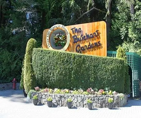 Сады Бутчарта altb