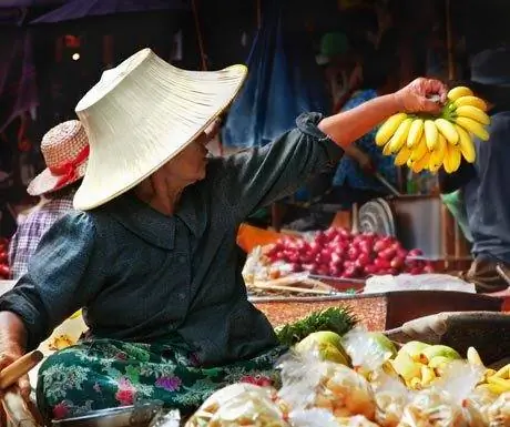 Экологичное путешествие, сделайте домашнее задание к месту назначения