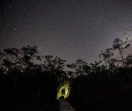 Устойчивое путешествие, опыт работы с Bee + Hive