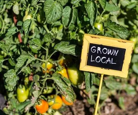 Экологичное путешествие, возвращайте деньги, как можете