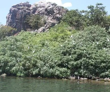 Остров Мбаса