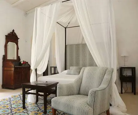 Донна Корали - Люкс