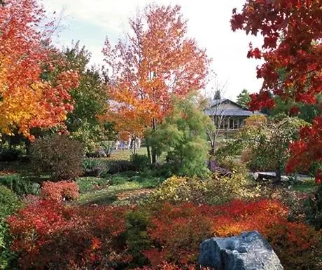 Ле Сен-Сюльпис