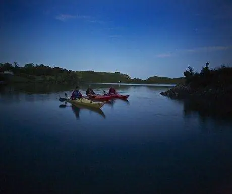 web-2014-06-18_Wild-Atlantic-Way-_P7A1607