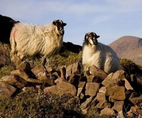 веб-февраль_2012_17_02_2012_10