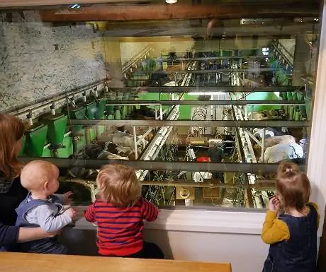 Ферма Low Sizergh Barn Farm - вид на кафе Ферма Low Sizergh Barn Farm - вид на кафе