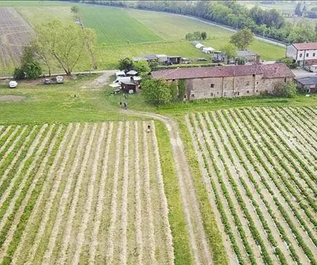 ферма-воздушный отдых