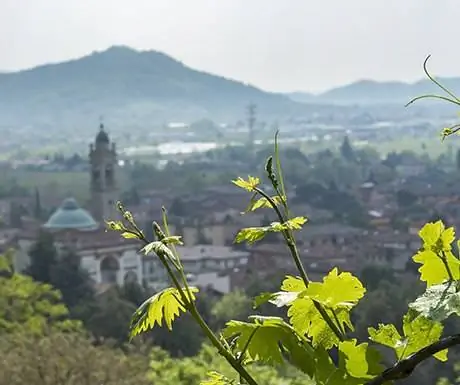 Москато-ди-Сканцо-горы