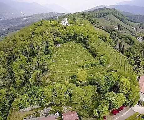 сканзоро-ишиатно-воздушная рез.