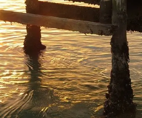 патерностер-фотография-точка обзора1