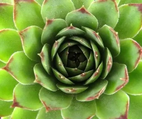 патерностер-фотография-точка обзора4