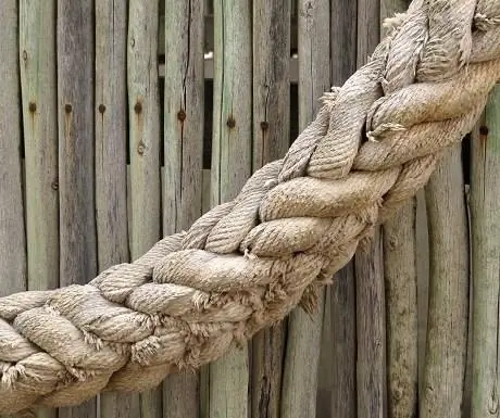 патерностер-фотография-следуйте линиям1