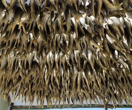 патерностер-фотография-точка обзора2