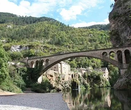 Тарн