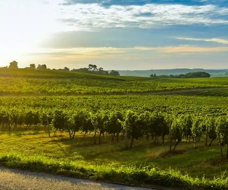 Топ-5 городов Европы для гурманов