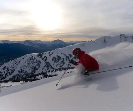 Бассейн сурков Альберта