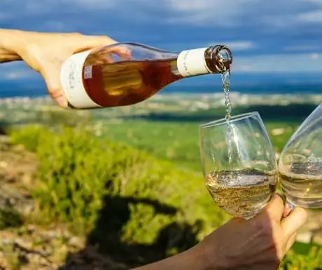 5 способов провести медовый месяц в роскоши на винограднике Марты