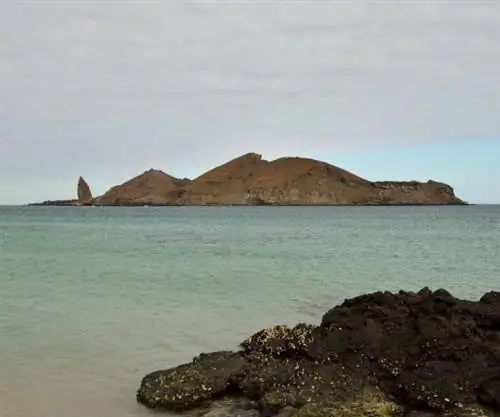 Дженовеза Галапагосские острова