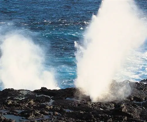 дыхало Галапагосские острова