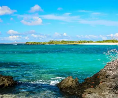 Лас-Бачас Санта-Крус Галапагосские острова