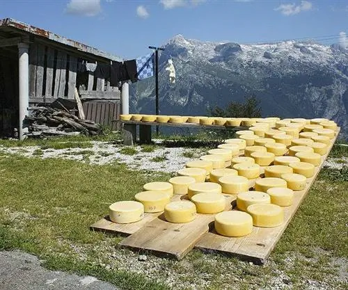 5 веских причин посетить Словению