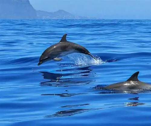 8 лучших мест, которые стоит увидеть в Бразилии