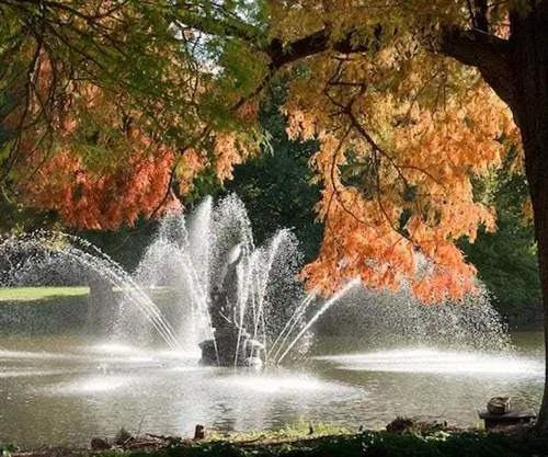 Осенние цвета в садах Кью &copy; RBG Kew