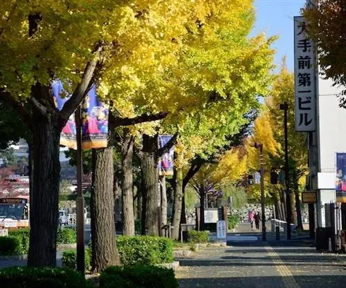 ноябрь Япония