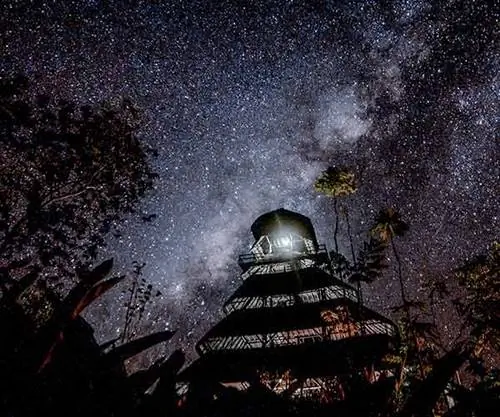 Эквадорско-Амазонский