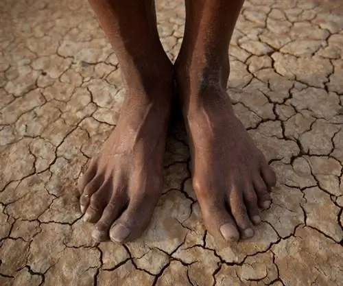 8 причин, почему вам стоит погулять с бушменом