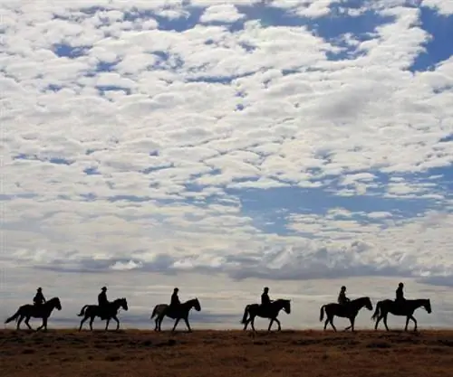 Путешествие верхом приведет вас к менее посещаемым дорогам.