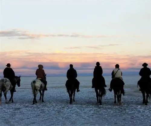 Сделайте потрясающие фотографии сафари