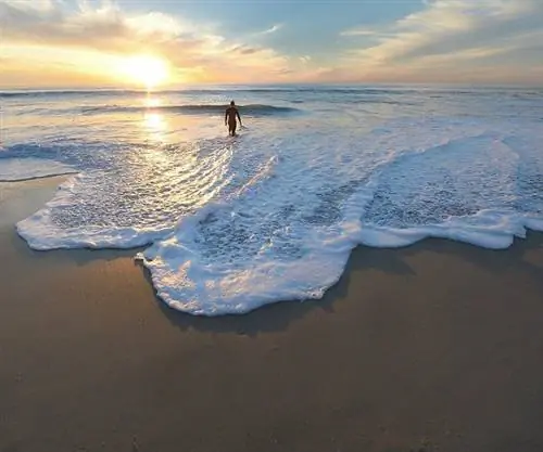 Секреты Сан-Диего