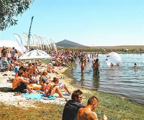 Раскачивание ромашек