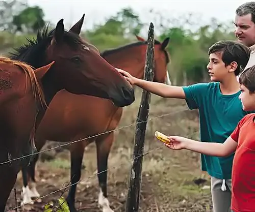 Изображение Изображение