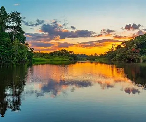 Лучшие впечатления от Amazon для путешественников