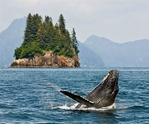 Профиль пункта назначения: Ванкувер