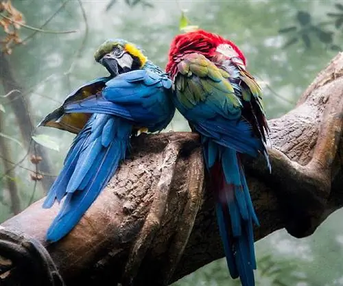 10 впечатляющих национальных заповедников Южной Америки