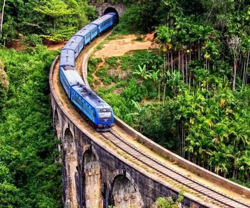 путешествие на поезде по чайной стране