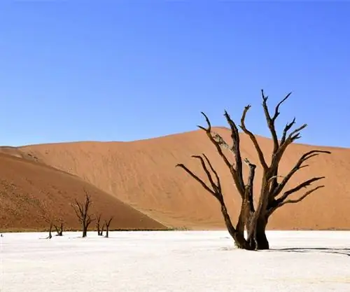 Фото недели: Дедвлей, Национальный парк Намиб-Науклуфт, Намибия
