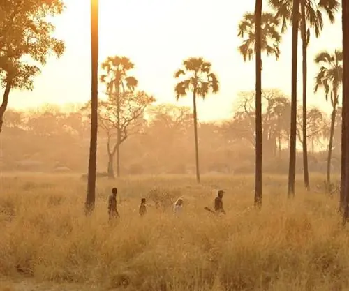 5 забытых сафари в Танзании