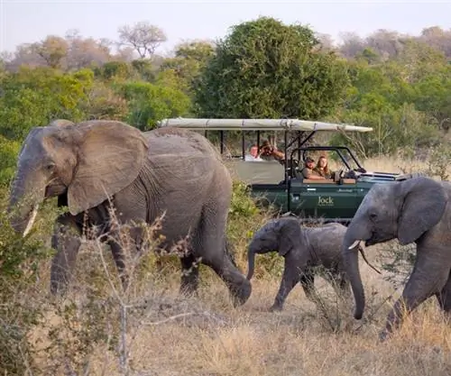 Гейм-драйв в Jock Safari Lodge