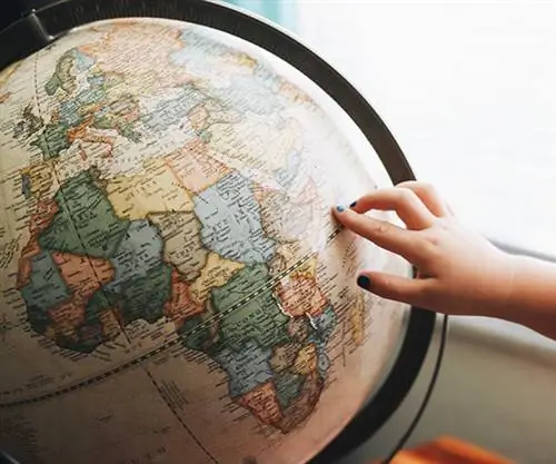 Ответственное путешествие: 10 советов, как уменьшить и компенсировать выбросы углекислого газа