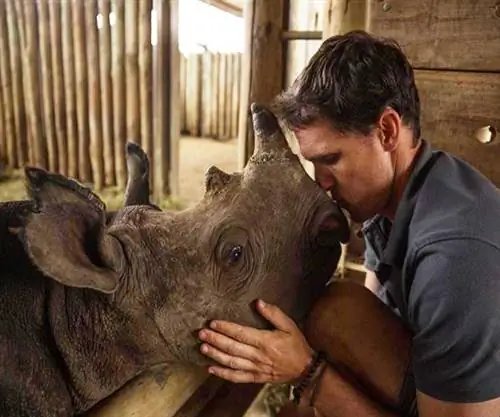 У Rhino Africa дела идут хорошо