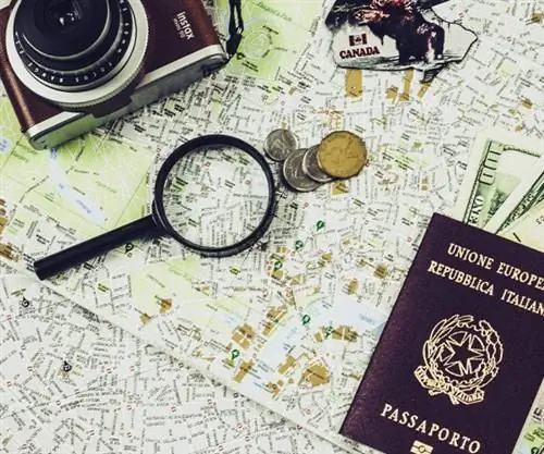 Виза стала проще